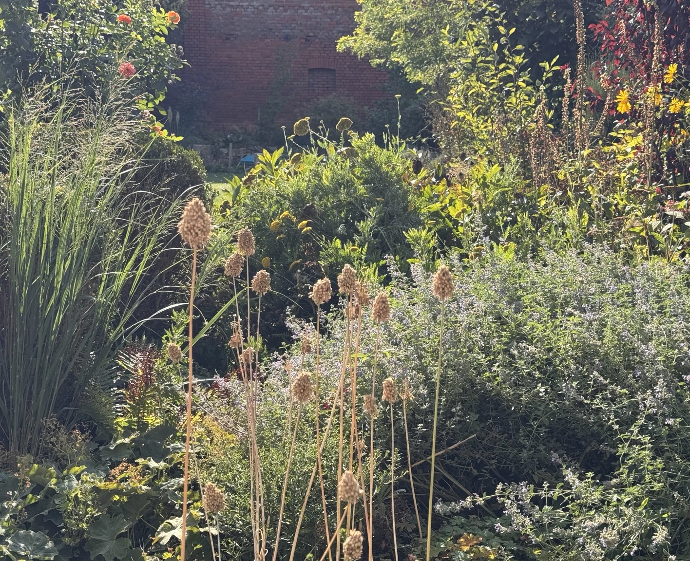 Echte gewachsene Pflanzung mit Stauden, Gräsern und Samenständen im Lebenshain-Garten